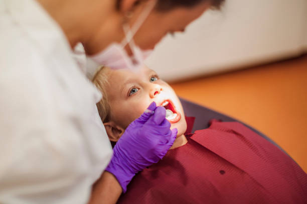 Best Emergency Dental Services for Seniors in Valmeyer, IL